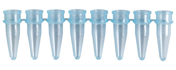 Blue 8-Strip PCR Tubes with Dome Strip Caps, 120 strips/pack
