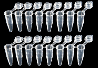 SnapStrip PCR Tubes - Dome Cap, Rainbow