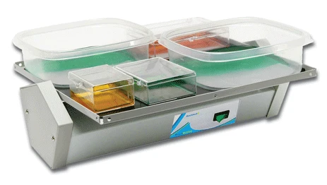 Benchmark Scientific BenchBlotter™ Fixed Speed Platform Rocker | Optimized for Western Blot Washing & Gel Staining | Fixed 12 RPM & ±8° Tilt | 12" x 12" Autoclavable Flat Mat | Cold Room & Incubator Safe | Cat # BR1000