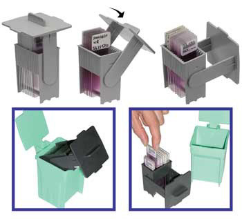 Easy Dip Slide Staining Rack, 6 Racks/pack