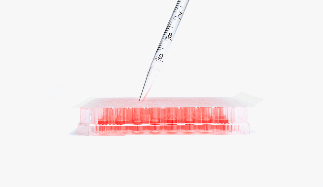 Excel Scientific AeraSeal Breathable Sealing Film Cell Culture Non-Sterile B-100 | LIGHT LABS