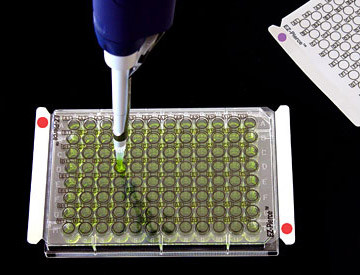 EZ-Pierce™ Plain, Sterile Film Seal Tape, 50/pack