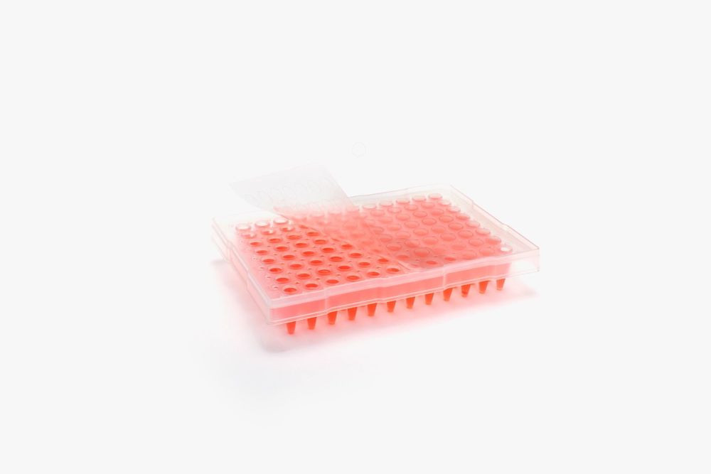 Excel Scientific ThermalSeal® STR-THER-PLT PCR Sealing Film, Sterile — 100/Pack