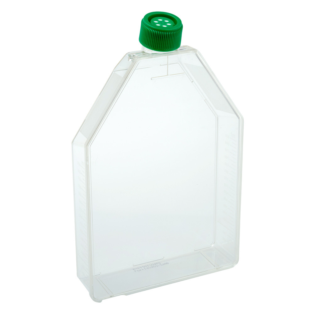 CELLTREAT 300cm² Tissue Culture Treated Flask with Vent Cap, Sterile | Largest Standard TC Flask | Interlocking T-Stack, 0.22µm Vent Cap | 3/Bag | 18/Case | Cat # 229361