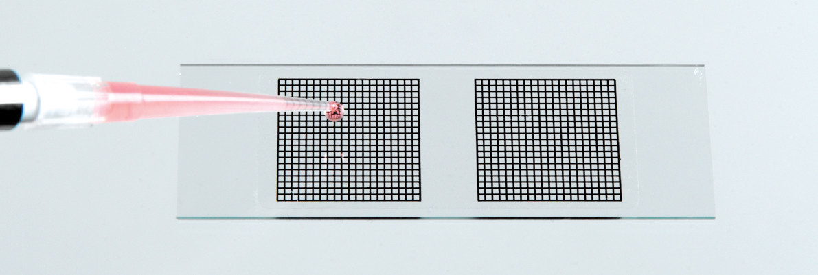 Diversified Biotech GRID-1000 Microscope Slide Grids