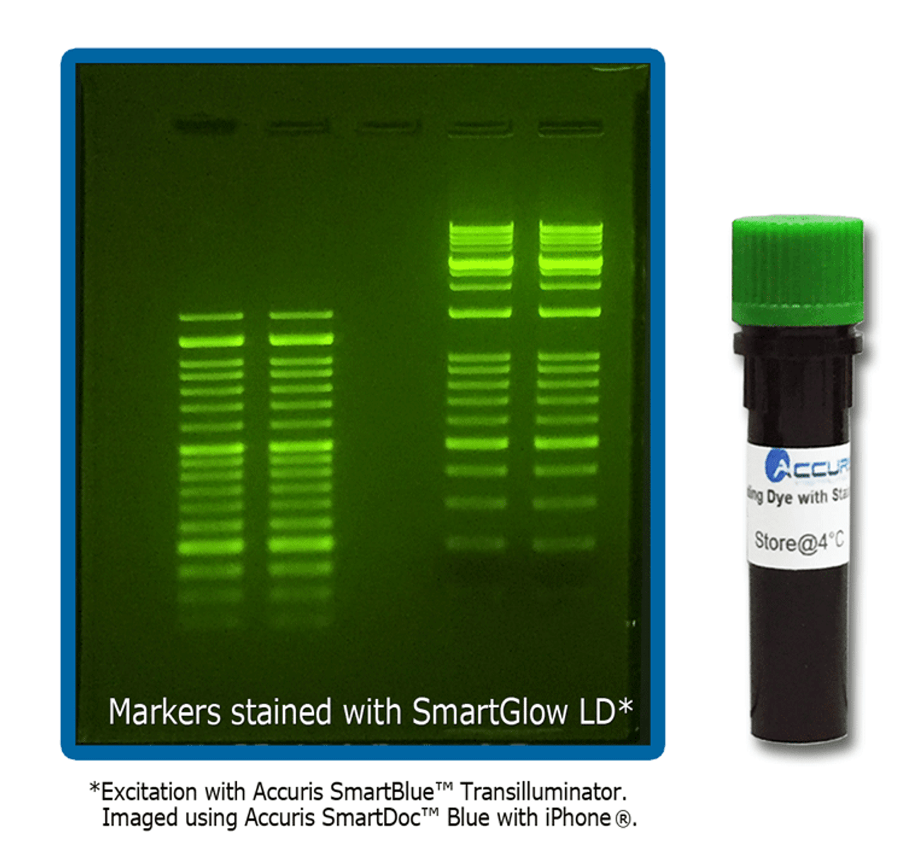 SmartGlow SAFE Nucleic Acid Stain (Loading Dye)