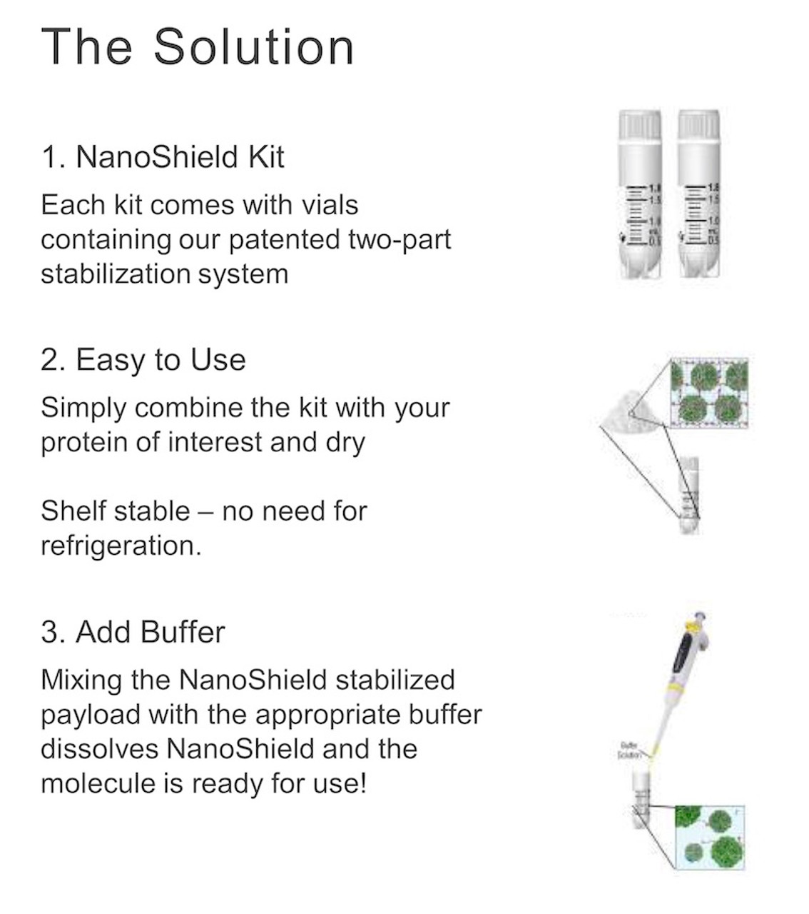 NanoShield Protein Stabilizer, 500mg