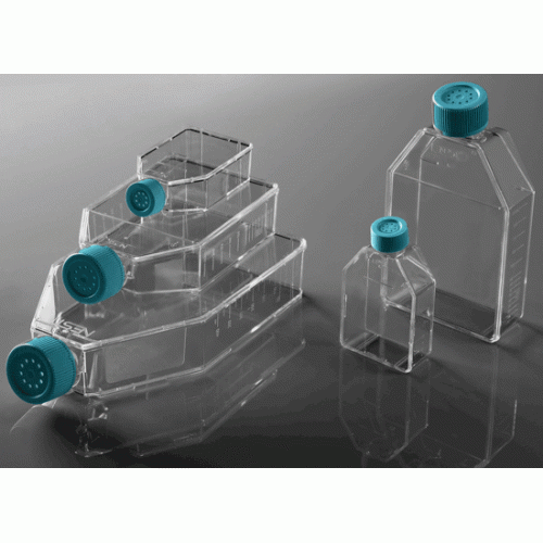 NEST T75 Vent/Filter Flasks, Tissue Culture Treated, Sterile, 100/case