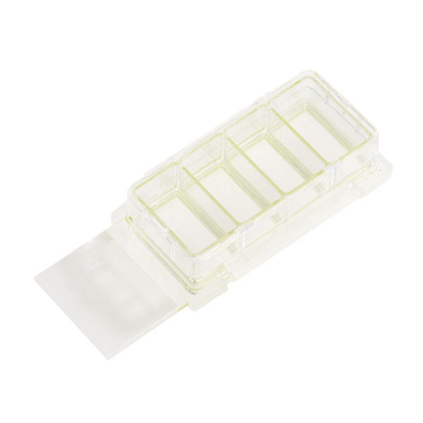4 Chamber Cell Culture Slide, Sterile, 12/CS