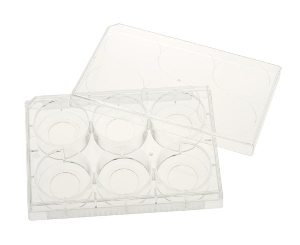 6 Well Glass Bottom Tissue Culture Plate, 20mm Glass, Sterile, 5/CS
