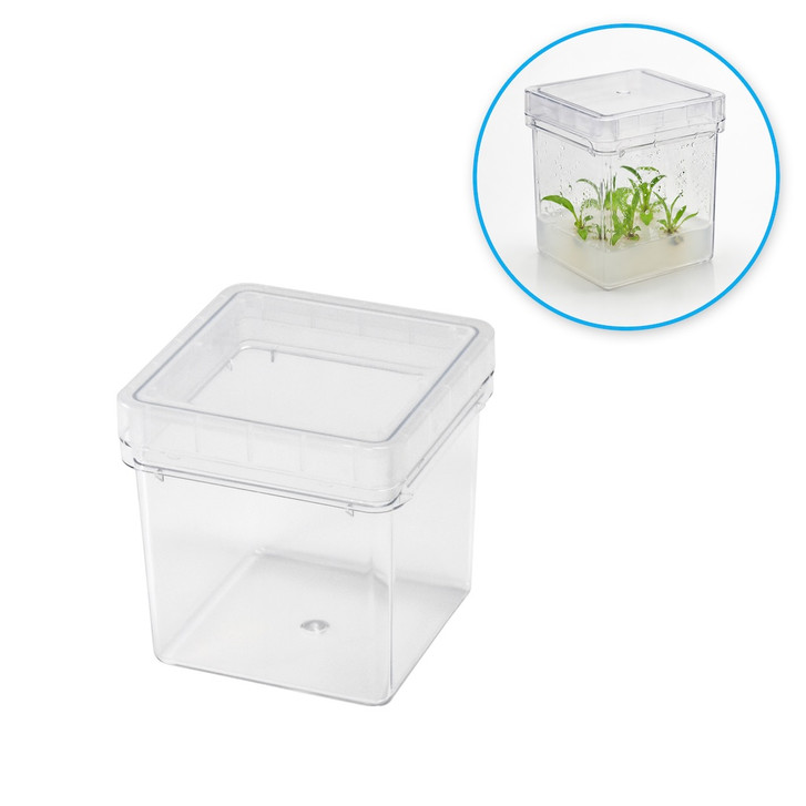 NEW Plant Tissue Culture Boxes — Now Available at LIGHT LABS