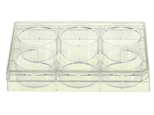 NEST 703011 6 Well Cell Culture Plate, Flat Bottom, Non-Treated, Sterile, Individually Wrapped, Peelable Film