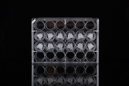 NEST 724431 Cell Culture Inserts, 1.0 µm PET Membrane, Opaque, Non-Treated, 12 Inserts with 12 Well Plate, Sterile