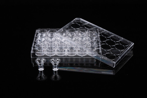 NEST 725211 Cell Culture Inserts, 5.0 µm PC Membrane, Translucent, Non-Treated, 12 Inserts with 24 Well Plate, Sterile