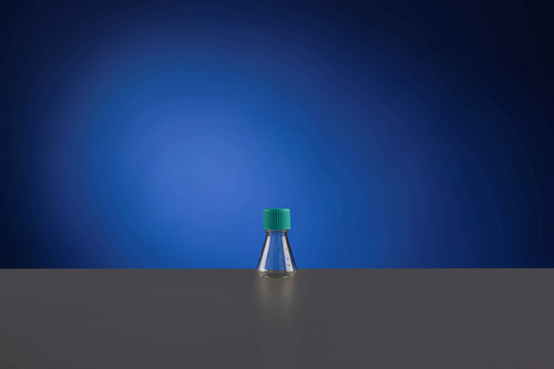 NEST 781101 125 mL Erlenmeyer Shaker Flask, Polycarbonate, Flat Bottom, Plug Seal Cap, Sterile, Case of 24 (24 x 1)
