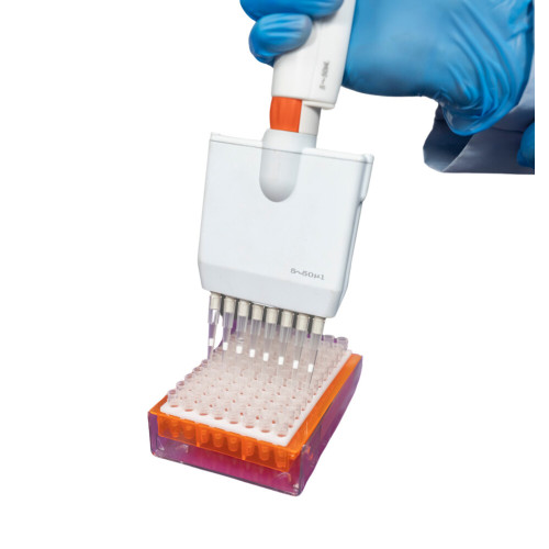 PCR Transfer Tray, Natural, 5/PK