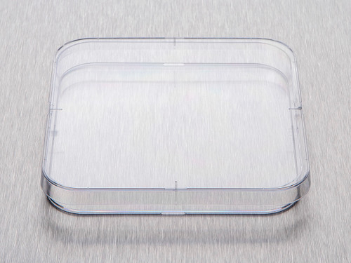 Gosselin BP124-05 120x120mm square petri dish 4 vents sterile slippable crystal polystyrene 14 per bag