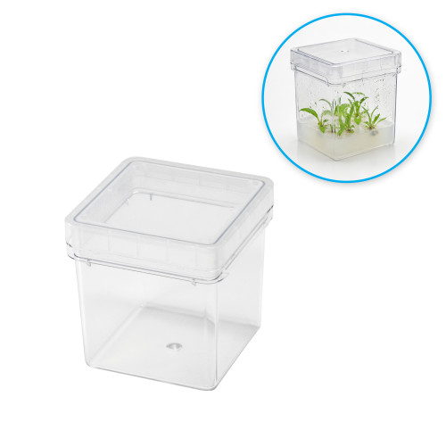 Plant Tissue Culture Box, 3 x 3 x 3 in., Autoclavable by MTC Bio, 25/Pack | Cat # B3075