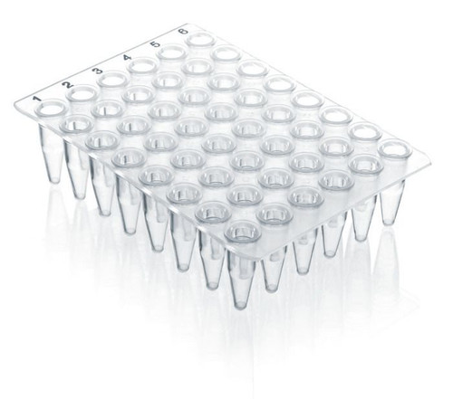 BRAND 781415 PCR plate 48-well, PP, 0.2 ml, without skirt, transparent