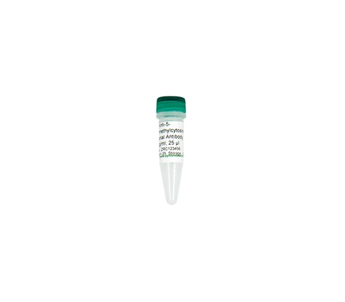 Zymo Research A4001-25 Anti-5-Hydroxymethylcytosine Polyclonal Antibody, 1 µg/µl