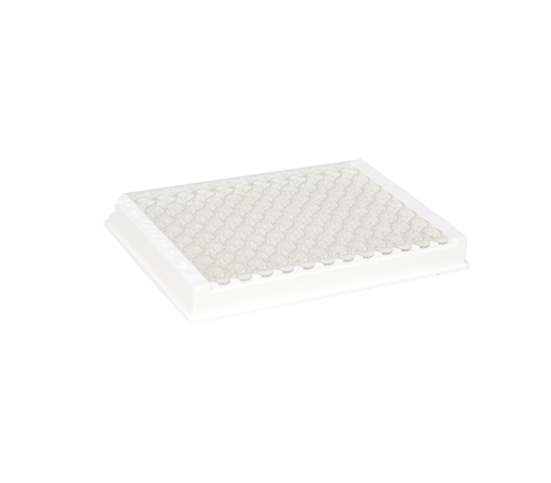 Zymo Research C2020 96-Well ELISA Plate, 12 x 8-Well Strips
