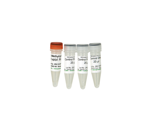 Zymo Research D5101-2 Methylated/Non-methylated Control DNA & Primer Set