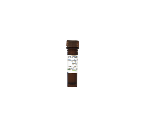 Zymo Research D5425-3-200 Anti-DNA HRP Antibody (100X), 200 µl