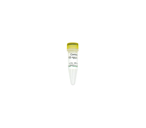 Zymo Research D5425-5-4 Control D (100 ng/ul), 40 µl