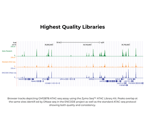 Zymo Research D5458 Zymo-Seq ATAC Library Kit, 12 Reactions