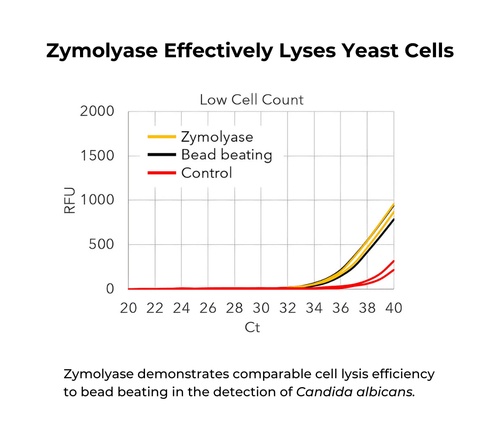 Zymo Research E1006 R-Zymolyase, 1000 U