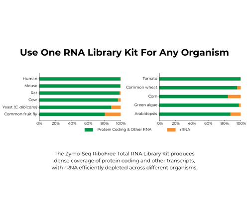 Zymo Research R3000 Zymo-Seq RiboFree Total RNA Library Prep Kit, 12 Preps