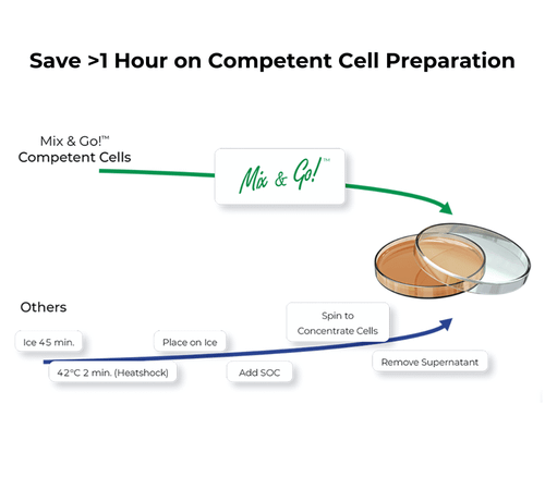 Zymo Research T3020 Mix & Go! Competent Cells - Zymo 10B, 96 x 50 µl