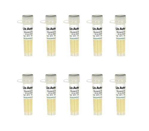 Zymo Research T3021 Mix & Go! Competent Cells - XJa Autolysis, 10 x 100 µl