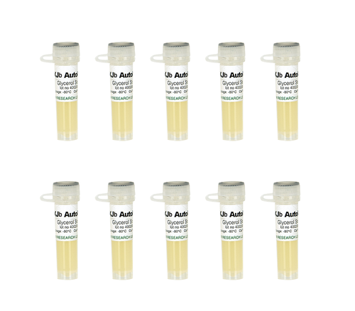 Zymo Research T3041 Mix & Go! Competent Cells - XJb Autolysis, 10 x 100 µl