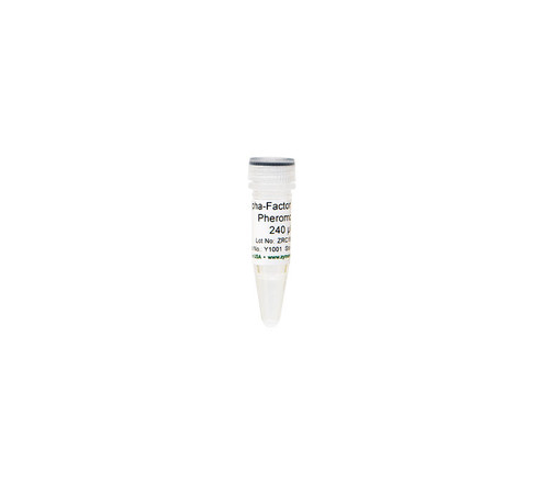 Zymo Research Y1001 Alpha-Factor Mating Pheromone, 240 µl