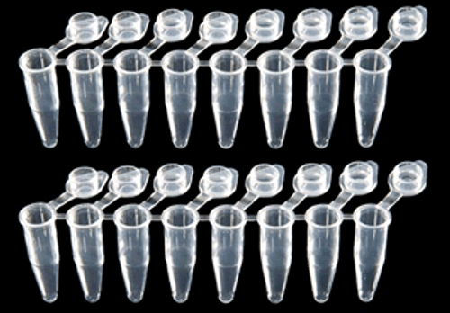 SnapStrip PCR Tubes - Dome Cap, Natural