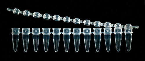 12 Strip PCR Tubes w/ DOME caps, Natural, 80 strips/bag