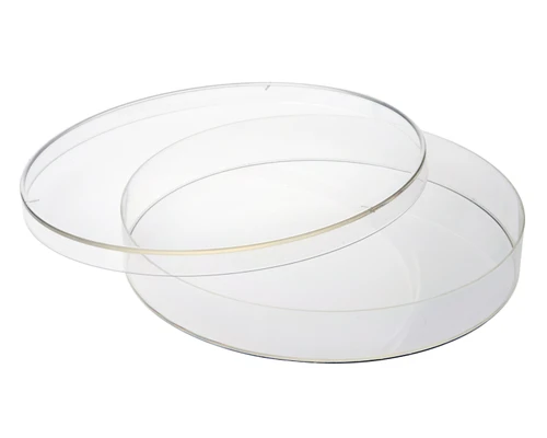 CELLTREAT 150mm x 20mm Tissue Culture Treated Cell Culture Dish, Sterile | Heavy-Duty, Vented Lid | 143 cm² Growth Area | 5/Bag | 100/Case | Cat # 229651