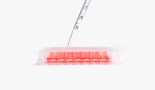 Excel Scientific AeraSeal Breathable Sealing Film Cell Culture Non-Sterile B-100 | LIGHT LABS