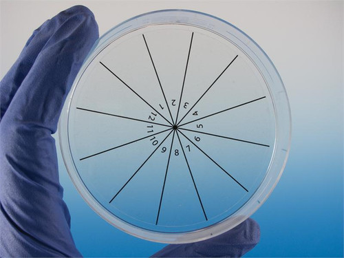 PetriStickers, 6-sector pie  36/pk