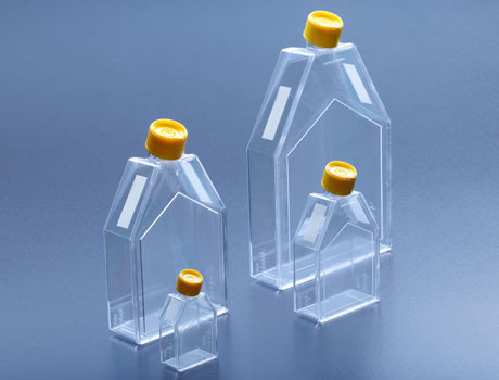 TPP Tissue culture flask 150 cm² with peel-off foil, 18/Case