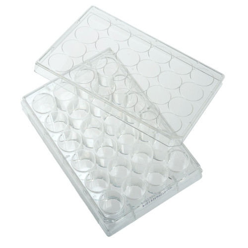 CELLTREAT 24-Well Flat Bottom Non-Treated Cell Culture Plate with Lid, Sterile | 0.5–1.5 mL Working Volume | 1.93 cm² Per Well | 100/Case | Cat # 229524