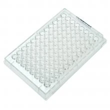 CELLTREAT 96-Well Round Bottom Non-Treated Microplate, Without Lid, Sterile | 50–300 µL Working Volume | 100/Case | Cat # 229591