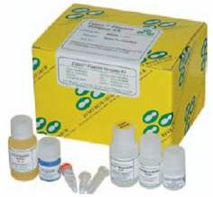 Zyppy™ Plasmid Miniprep Kit, 400 preps