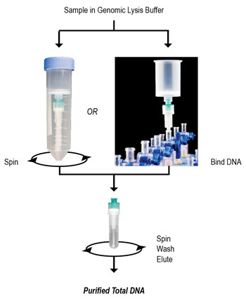 Quick-gDNA™ MidiPrep, 25 Preps