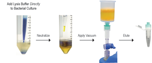 Zyppy™ Plasmid Midiprep Kit, 25 preps