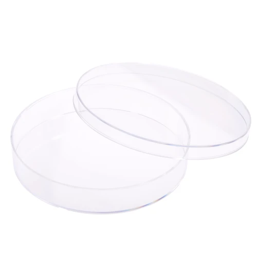 CELLTREAT 150mm x 25mm Tissue Culture Treated Cell Culture Dish, Sterile | Deepest Format — Extra Media Volume & Headspace | 154 cm² | 5/Bag | 60/Case | Cat # 229652