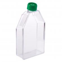 CELLTREAT 182cm² Deep Volume Tissue Culture Treated Flask with Vent Cap, Sterile | "Weekend Flask" — Extra Depth for Extended Culture | 5/Bag | 40/Case | Cat # 229381