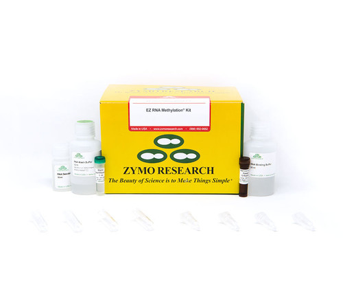 EZ RNA Methylation Kit, 200 Prep