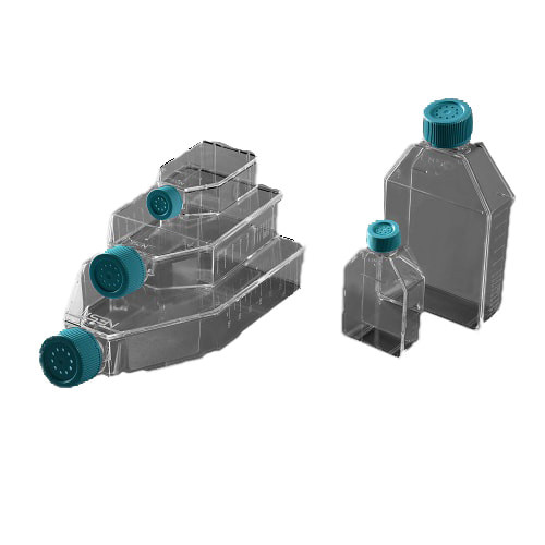 NEST 75cm2 Cell Culture Flask, Plug Seal Cap, Non-Treated, sterile, Maximum Working Volume 250mL, 5/pk, 100/cs